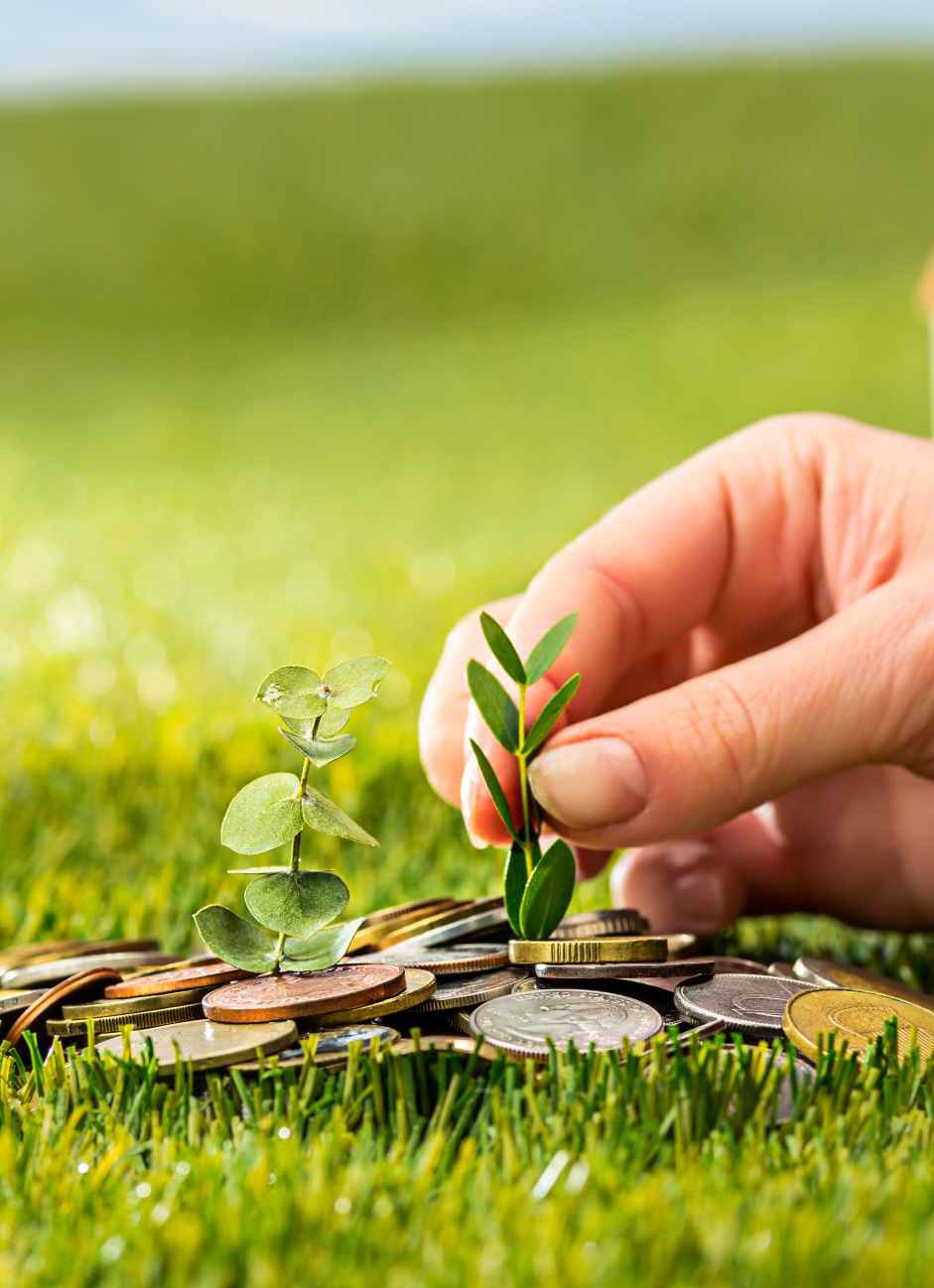 Financial Performance